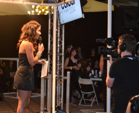 Were you pap'd by the Capital Street Stars?