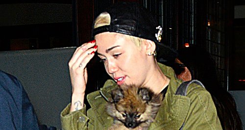 Miley Cyrus and New Dog 