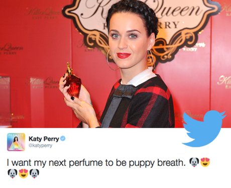 Intriguing Tweets (24th April)