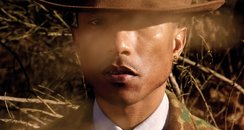 Pharrell Williams Notion Magazine