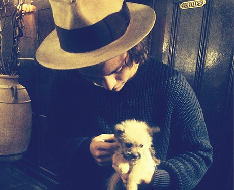 Harry Styles with a dog