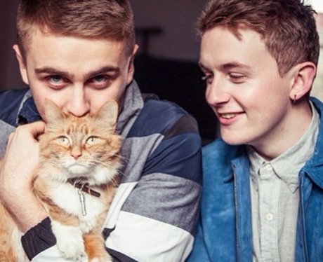 Disclosure With Cat