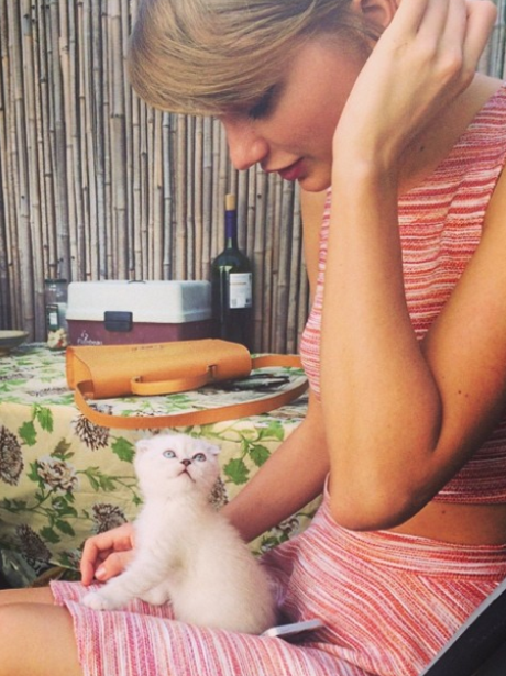 Taylor Swift with a new kitten