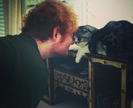 Ed Sheeran and a cat
