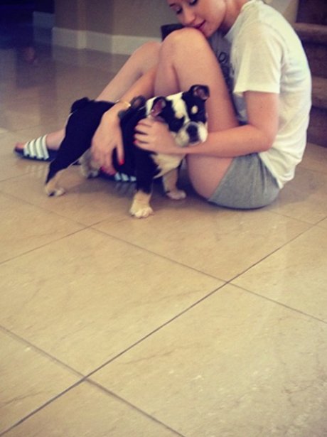 Iggy Azalea and dog on instagram