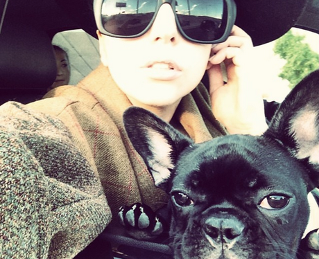Lady Gaga and her dog on Instagram