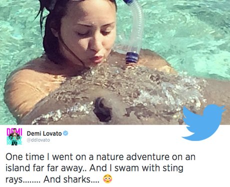 Best Tweets 8th August