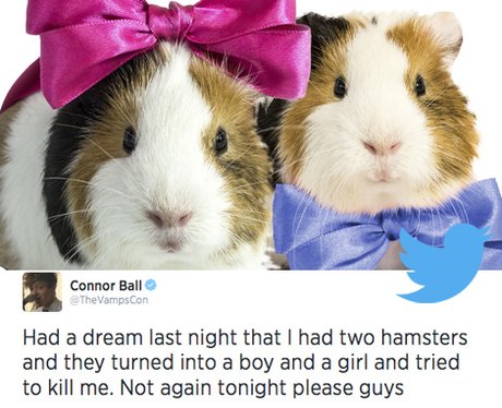 Best Tweets 8th August