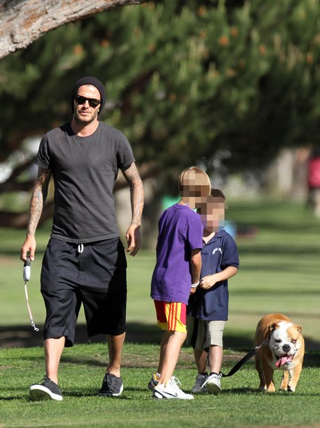 David Beckham with pet dog in California