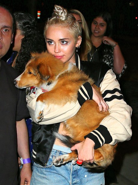 Miley Cyrus with het pet dog