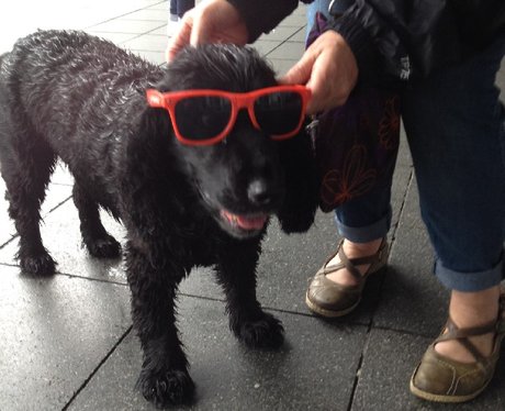 Were you pap'd by the Capital Street Stars?