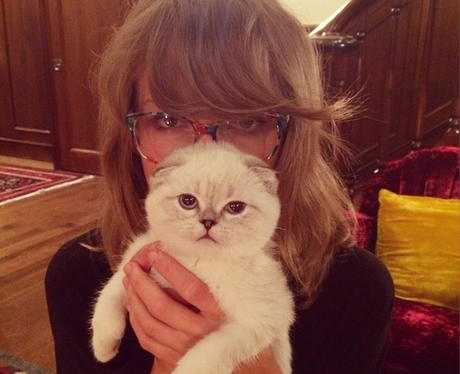 Taylor Swift with a cat