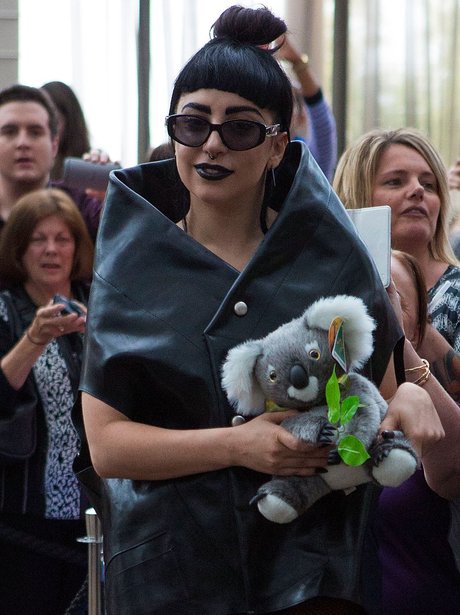 Lady Gaga with a Koala