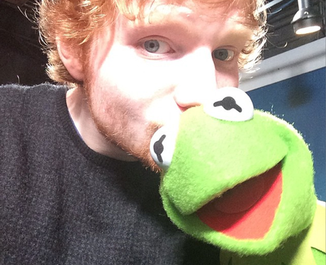 Ed Sheeran and Kermit