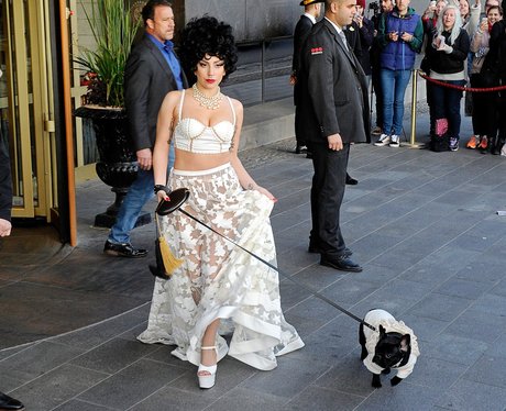Lady Gaga with dog
