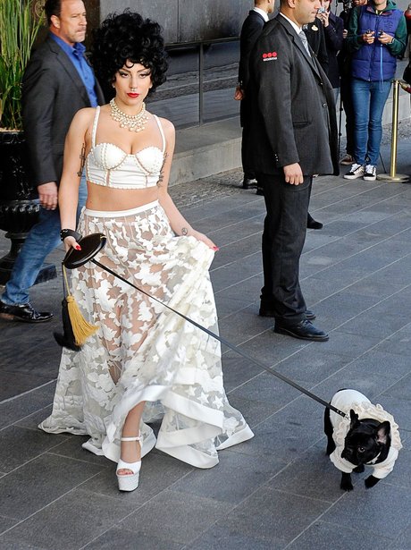 Lady Gaga with dog
