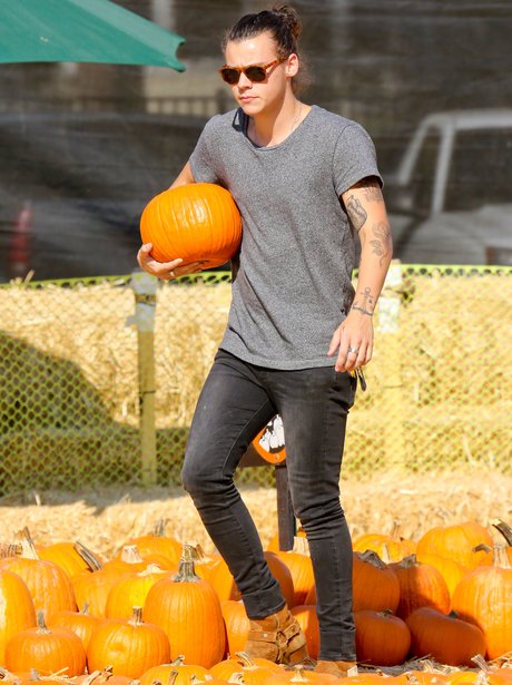Harry Styles Pumpkin Patch