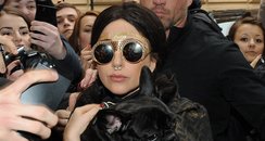 Lady Gaga Gold Leaf Forehead and Dog