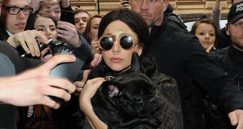 Lady Gaga Gold Leaf Forehead and Dog