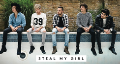 One Direction Steal My Girl Large