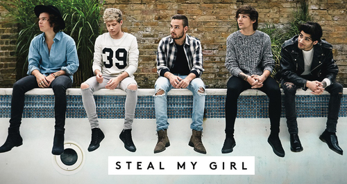 One Direction Steal My Girl Large