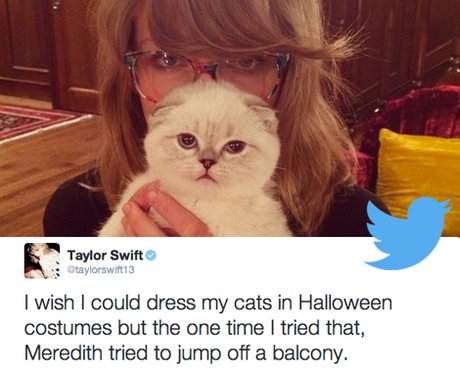 Best Tweets 16th Ocotber