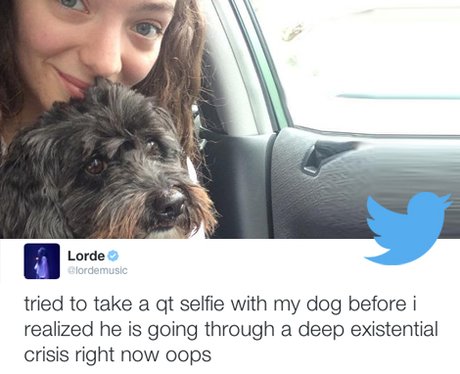 Best Tweets 23rd October