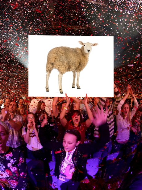 Capital Jingle Bell Ball 2014 Saturday Line-Up Tea