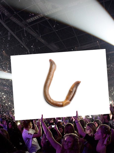 Capital Jingle Bell Ball 2014 Saturday Line-Up Tea