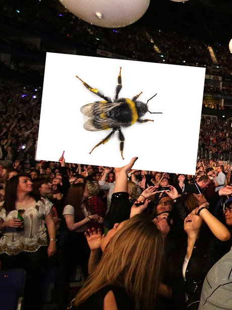 Capital Jingle Bell Ball 2014 Saturday Line-Up Tea