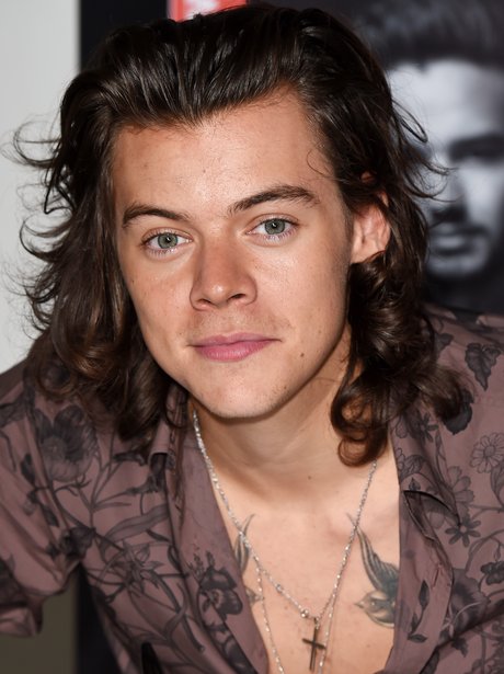 Harry Styles' Hair Through The Years: 14 Pics Of His Locks Looking  SERIOUSLY Luscious - Capital