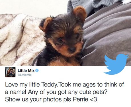 14 Tweets That Got Fans Talking This Week (14h Nov