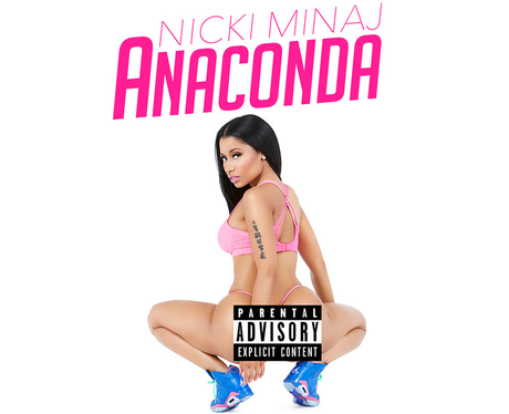 Anaconda Artwork With Border