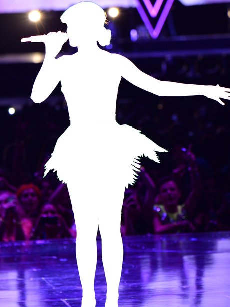 Katy Perry Silhouette