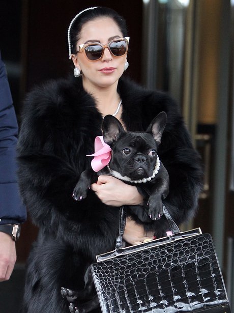 Lady Gaga & Asia