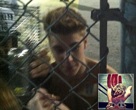 Justin Bieber Fan Hamster