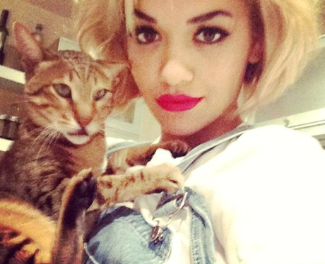 Rita Ora Cat Bruno