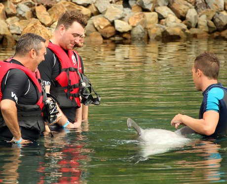 Sam Smith on holiday with dolphins