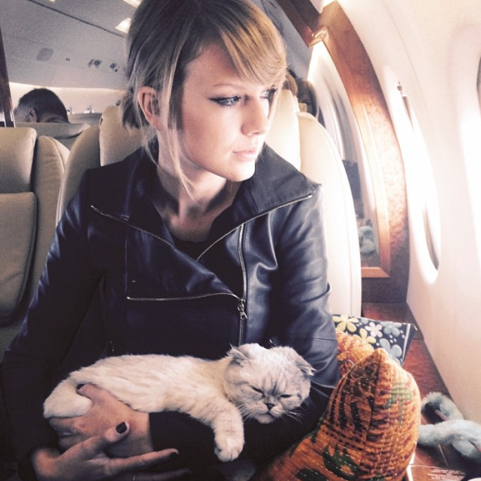 Taylor swift's best sale cat backpack