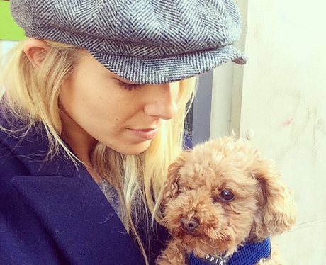 Alfie Mollie Kings Dog