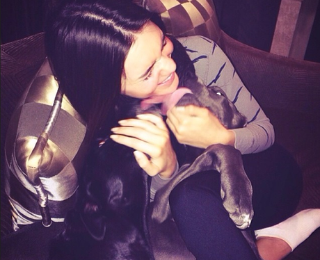 Kendall Jenner Dog Blu