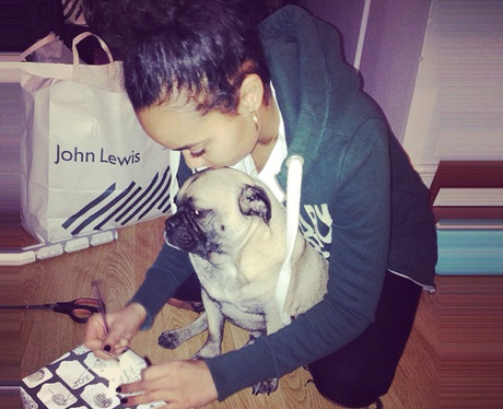 Leigh Ann Pinnock Dog Harvey