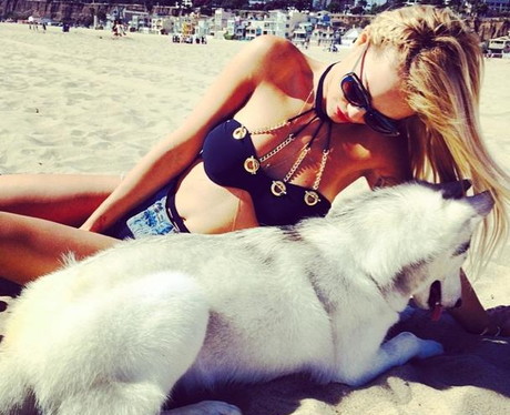 Rita Ora Dog Bowie