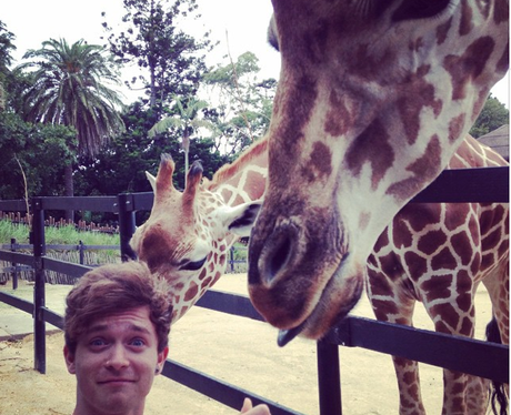Conor The Vamps Giraffe