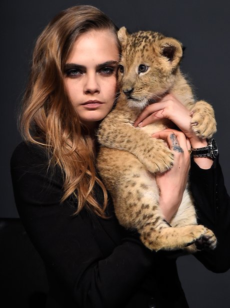 Roar! Cara Delevingne gets up close and personal with a baby leopard ...