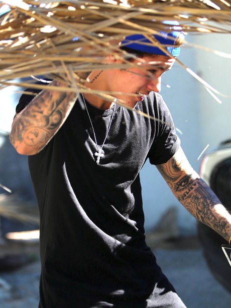 Justin Bieber getting hit by a plam tree