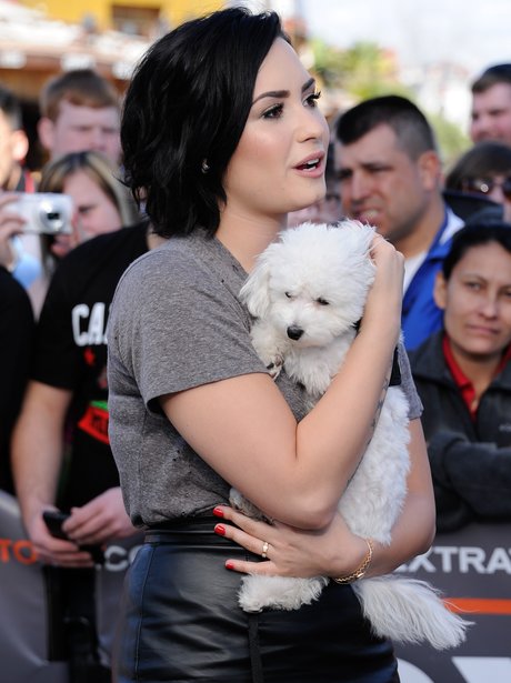 Demi Lovato with her dog