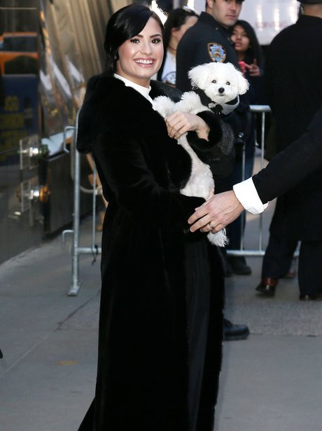 Demi Lovato with her dog