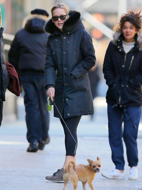 Jennifer Lawrence dog walking