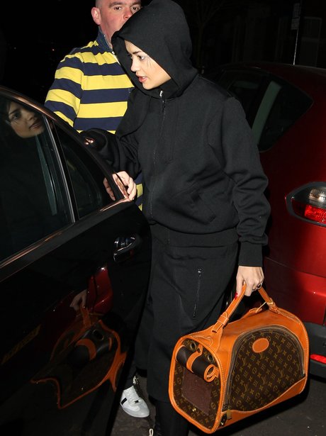 Rita Ora with Louis Vuitton bag